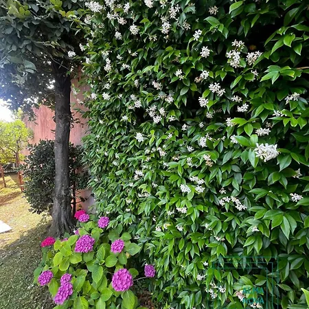 Residenza Desenzano Centro Desenzano del Garda